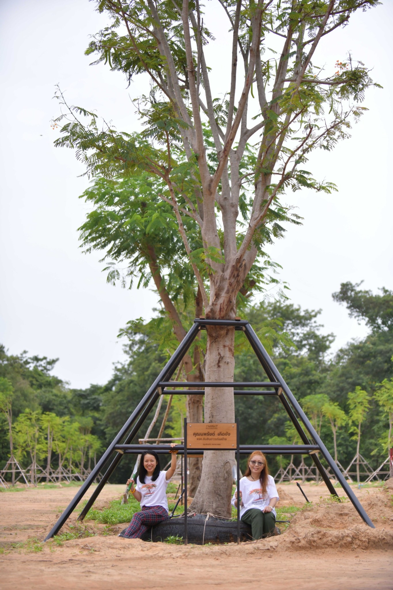 LINE_ALBUM_ป่าหางนกยูง 2_๒๓๐๘๐๖_6